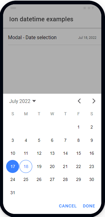 date in modal overlay bottom